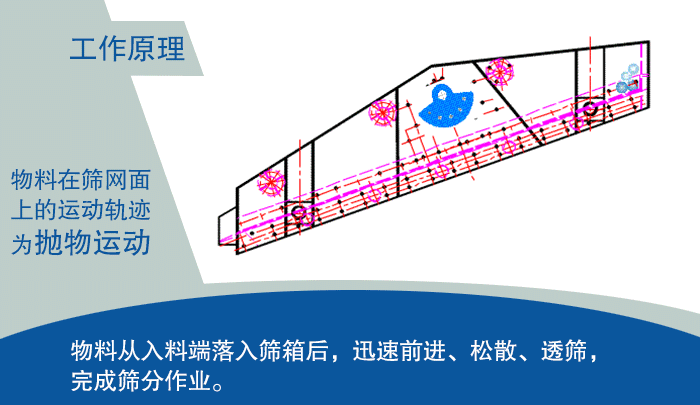 大型91视频免费版下载